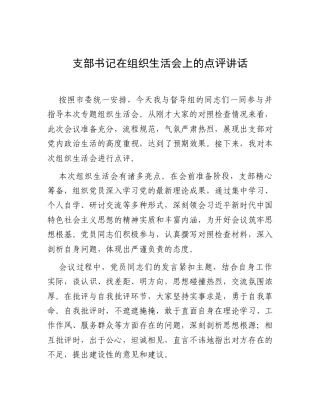 支部书记在组织生活会上的点评讲话.docx