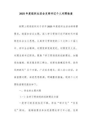 2025年度组织生活会支部书记个人对照检查.docx