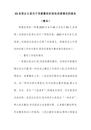 XX县委办公室关于巡察整改阶段性进展情况的报告.docx