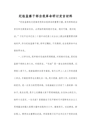 纪检监察干部自我革命研讨发言材料.doc
