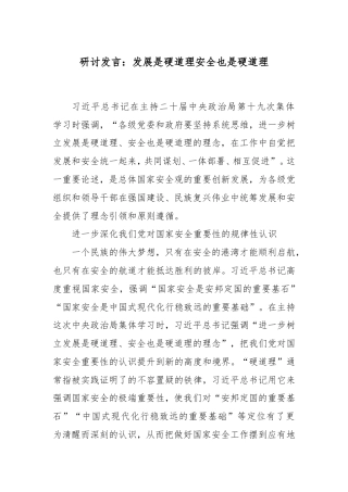 研讨发言：发展是硬道理安全也是硬道理.doc