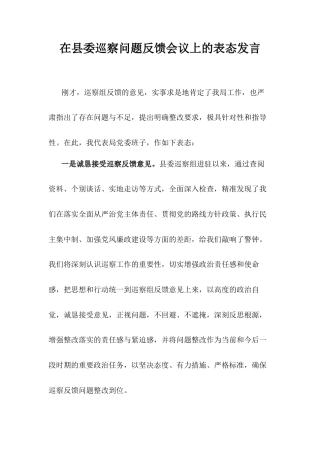 在县委巡察问题反馈会议上的表态发言.docx