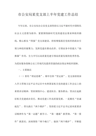 市公安局某党支部上半年党建工作总结.docx