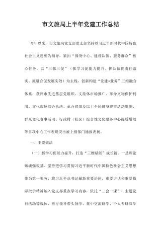市文旅局上半年党建工作总结.docx