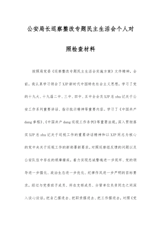 公安局长巡察整改专题民主生活会个人对照检查材料.doc