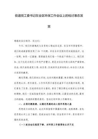 街道党工委书记在全区环保工作会议上的检讨表态发言.doc