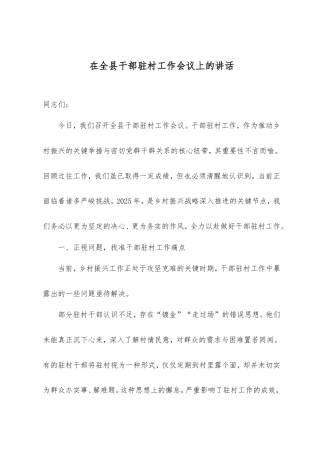 2025年在全县干部驻村工作会议上的讲话.doc