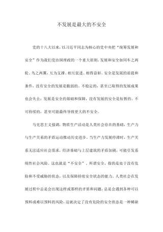 不发展是最大的不安全.doc