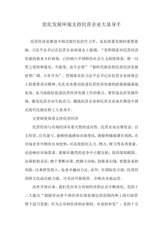 优化发展环境支持民营企业大显身手.doc