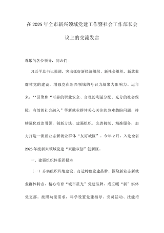 在2025年全市新兴领域党建工作暨社会工作部长会议上的交流发言.docx