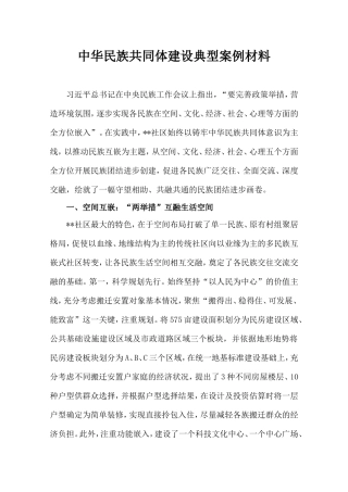 中华民族共同体建设典型案例材料.doc
