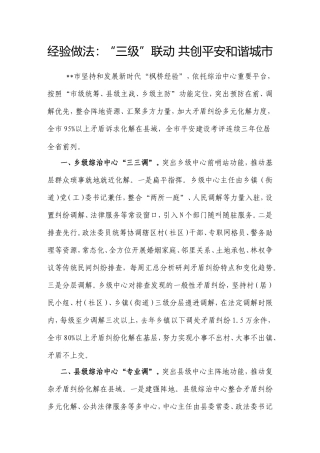 经验做法：“三级”联动共创平安和谐城市.doc