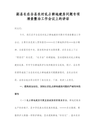 副县长在全县农村乱占耕地建房问题专项清查整治工作会议上的讲话.docx