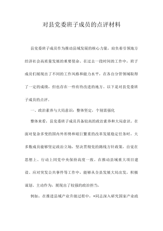 对县党委班子成员的点评材料.docx