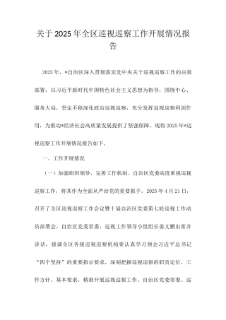 关于2025年全区巡视巡察工作开展情况报告.docx