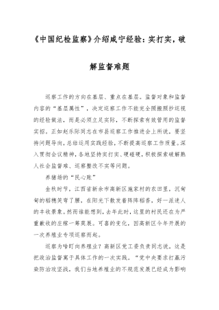 《中国纪检监察》介绍咸宁经验：实打实，破解监督难题.doc
