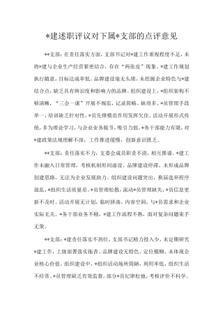 党建述职评议对下属党支部的点评意见.doc
