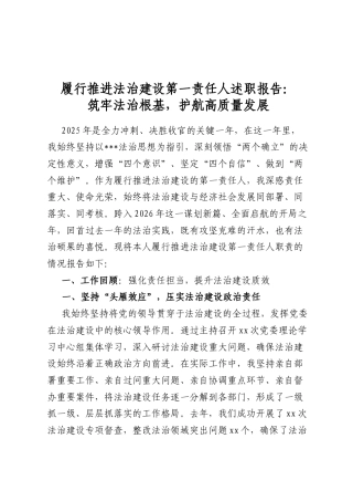 履行推进法治建设第一责任人述职报告：筑牢法治根基，护航高质量发展(1).docx
