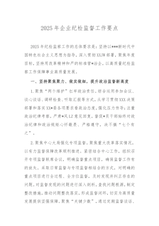 2025年企业纪检监督工作要点.doc