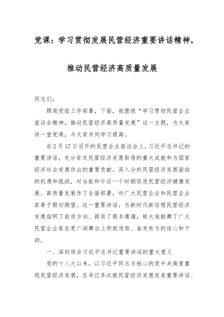 党课：学习贯彻发展民营经济重要讲话精神，推动民营经济高质量发展.doc