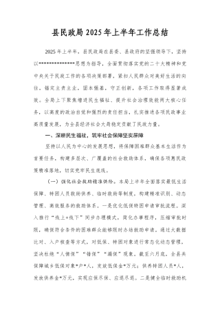 县民政局2025年上半年工作总结.docx