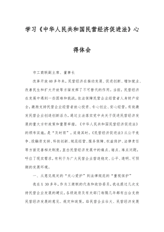 学习《中华人民共和国民营经济促进法》心得体会.doc