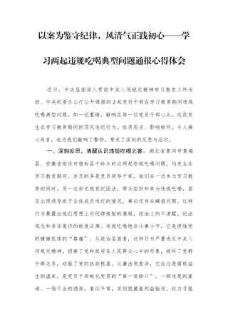 以案为鉴守纪律，风清气正践初心——学习两起违规吃喝典型问题通报心得体会.docx