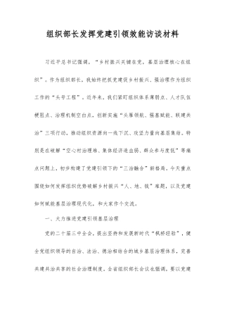 组织部长发挥党建引领效能访谈材料.doc
