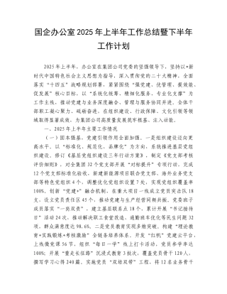国企公司办公室2025年上半年工作总结暨下半年工作计划.doc