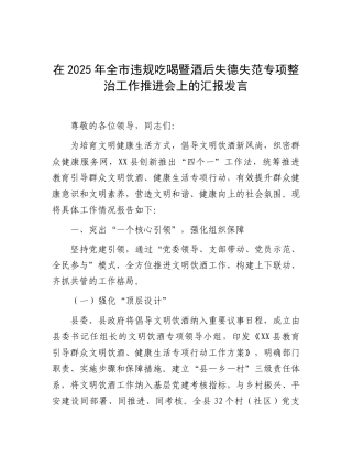 全市违规吃喝暨酒后失德失范专项整治工作推进会上的汇报发言.doc