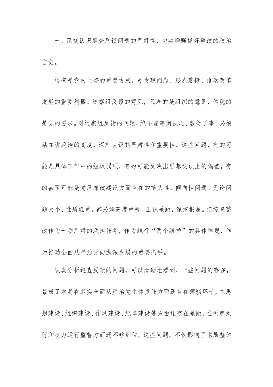 在2025年巡查整改工作情况反馈会上的表态发言.doc_第2页