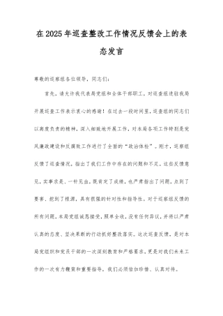 在2025年巡查整改工作情况反馈会上的表态发言.doc