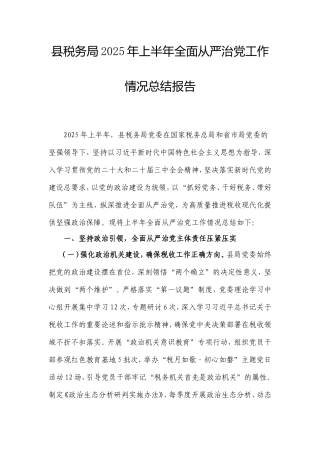 县税务局2025年上半年全面从严治党工作情况总结报告.doc
