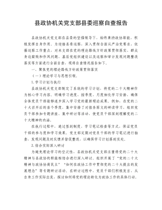 县政协机关党支部县委巡察自查报告（总结）.doc
