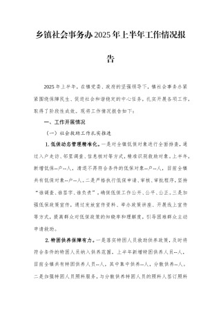乡镇社会事务办2025年上半年工作情况报告.doc