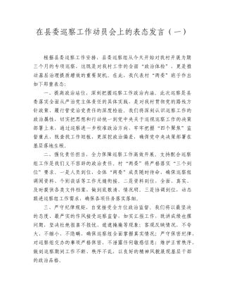 在县委巡察工作动员会上的表态发言2篇（村）.doc