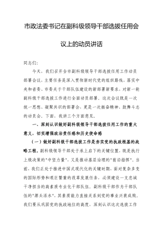 市政法委书记在副科级领导干部选拔任用会议上的动员讲话.doc