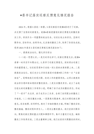 书记落实巡察反馈意见情况报告.doc