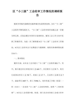 区“小三级”工会经审工作情况的调研报告.docx