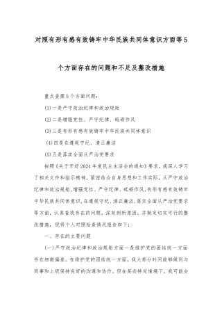 对照有形有感有效铸牢中华民族共同体意识方面等5个方面存在的问题和不足及整改措施.doc
