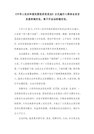 《中华人民共和国民营经济促进法》正式施行心得体会发言.doc