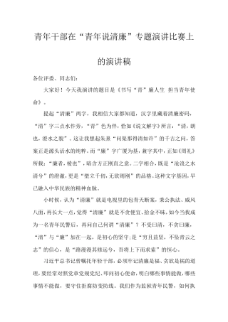 青年干部在“青年说清廉”专题演讲比赛上的演讲稿.doc