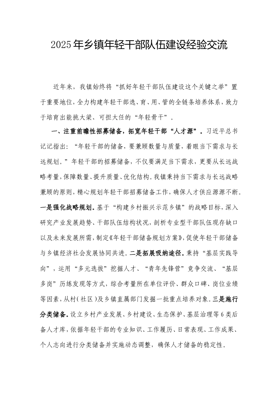 2025年乡镇年轻干部队伍建设经验交流.doc_第1页