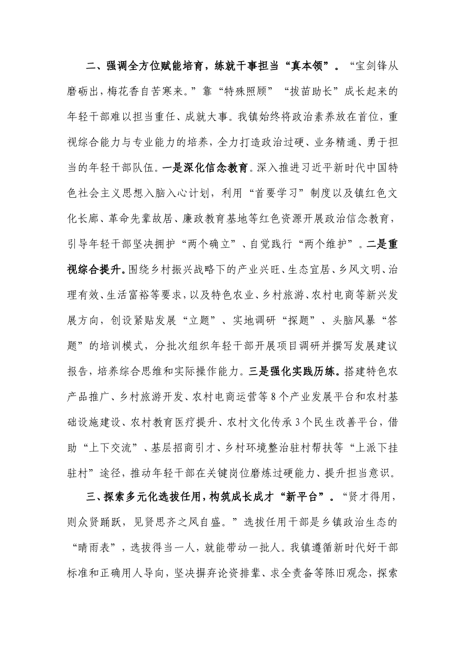 2025年乡镇年轻干部队伍建设经验交流.doc_第2页