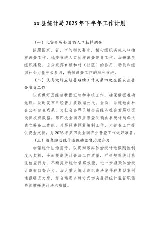 XX县统计局2025年下半年工作计划.docx