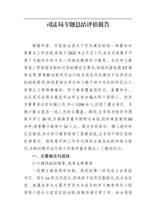 司法局专题总结评估报告.docx