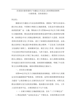 在某某市委常委班子专题民主生活会上的对照检查材料（市委常委、宣传部部长）.docx