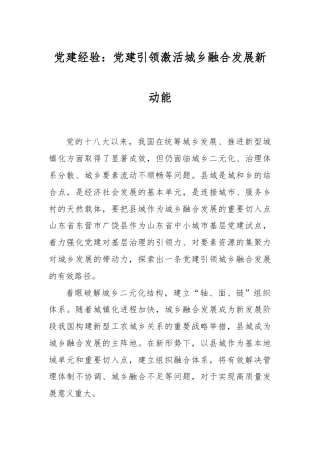 党建经验：党建引领激活城乡融合发展新动能.docx