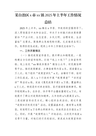 某自治区X市XX镇2025年上半年工作情况总结.docx