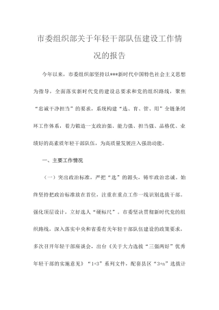 市委组织部关于年轻干部队伍建设工作情况的报告.docx